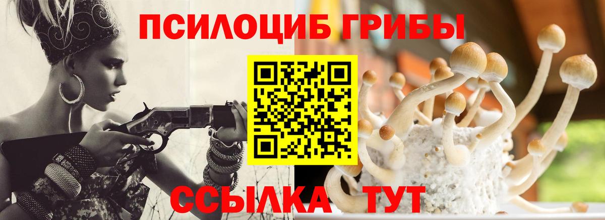купить   Вход с VPN  Галлюциногенные грибы мухоморы  Егорьевск  Галлюциногенные грибы Psilocybine cubensis 